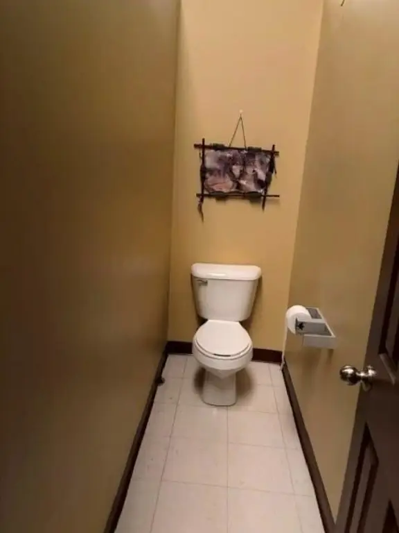 Picture 29