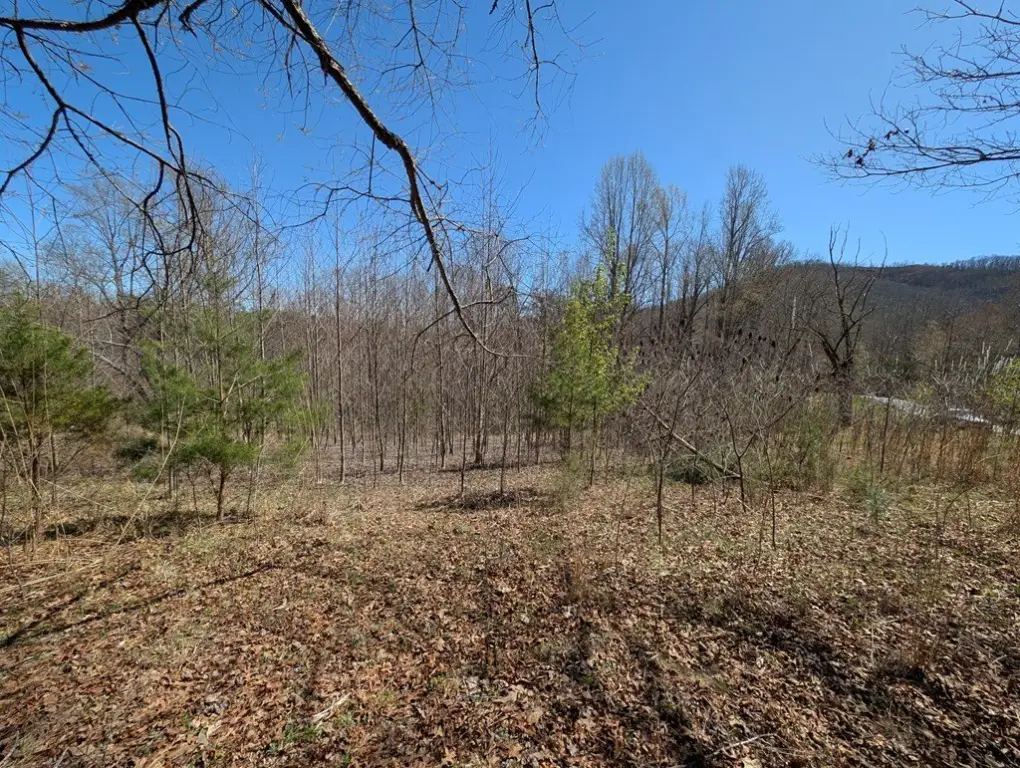 Picture 5