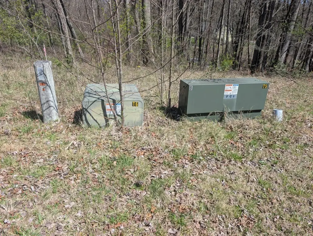 Picture 15