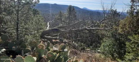 Land with Hiking and Views