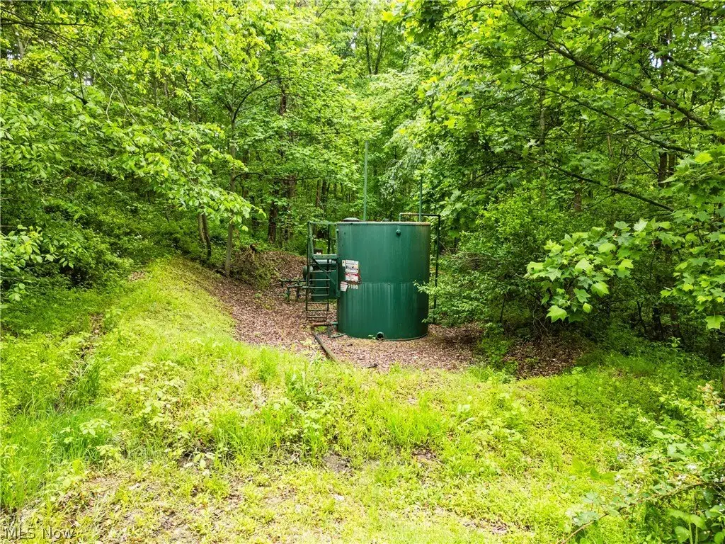 Picture 4