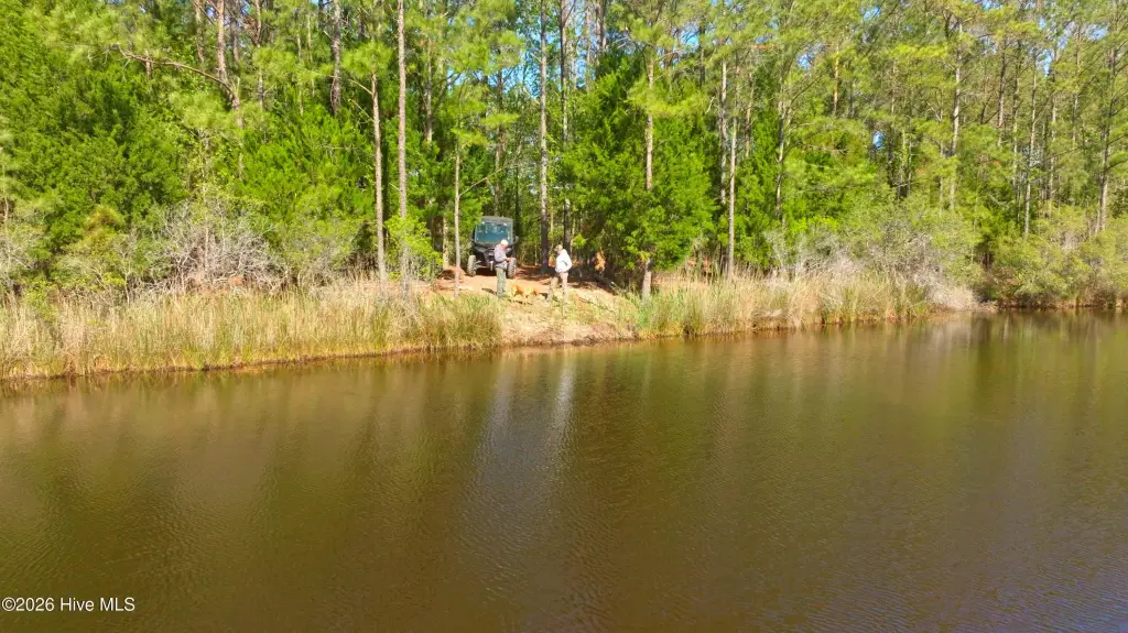 Picture 36