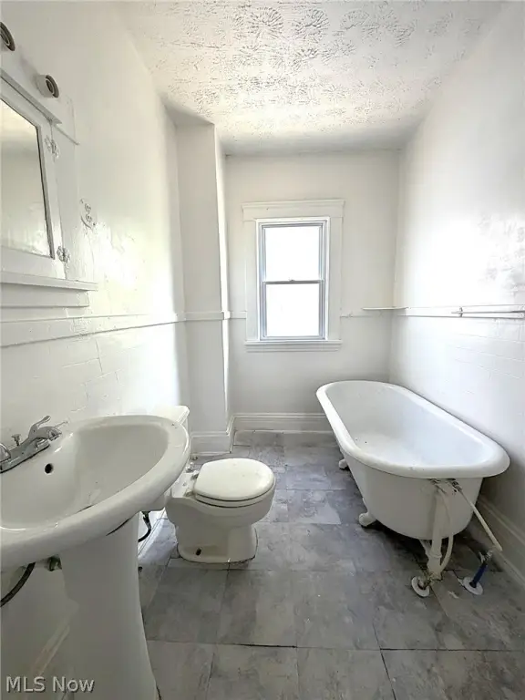 Picture 42