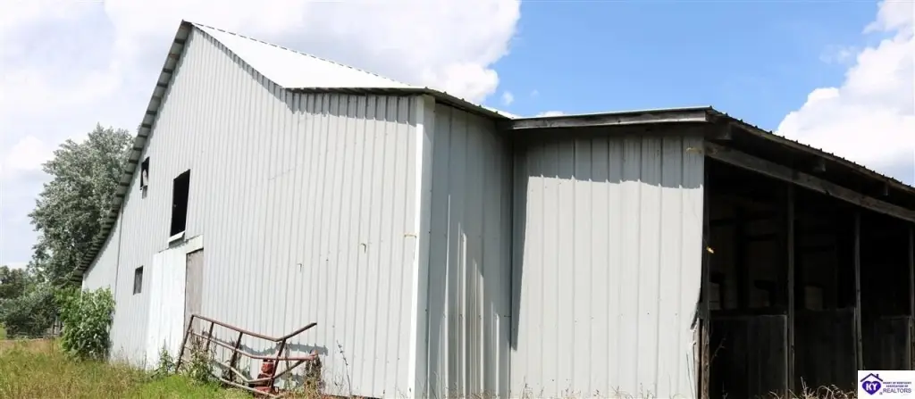 Picture 6