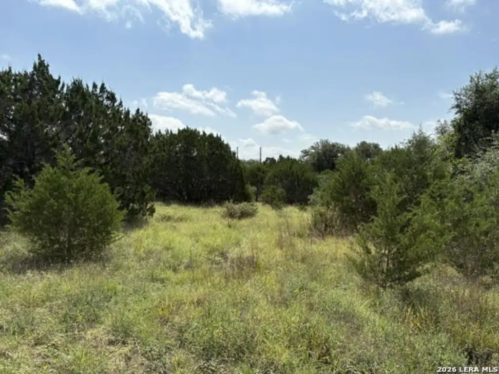 Picture 26