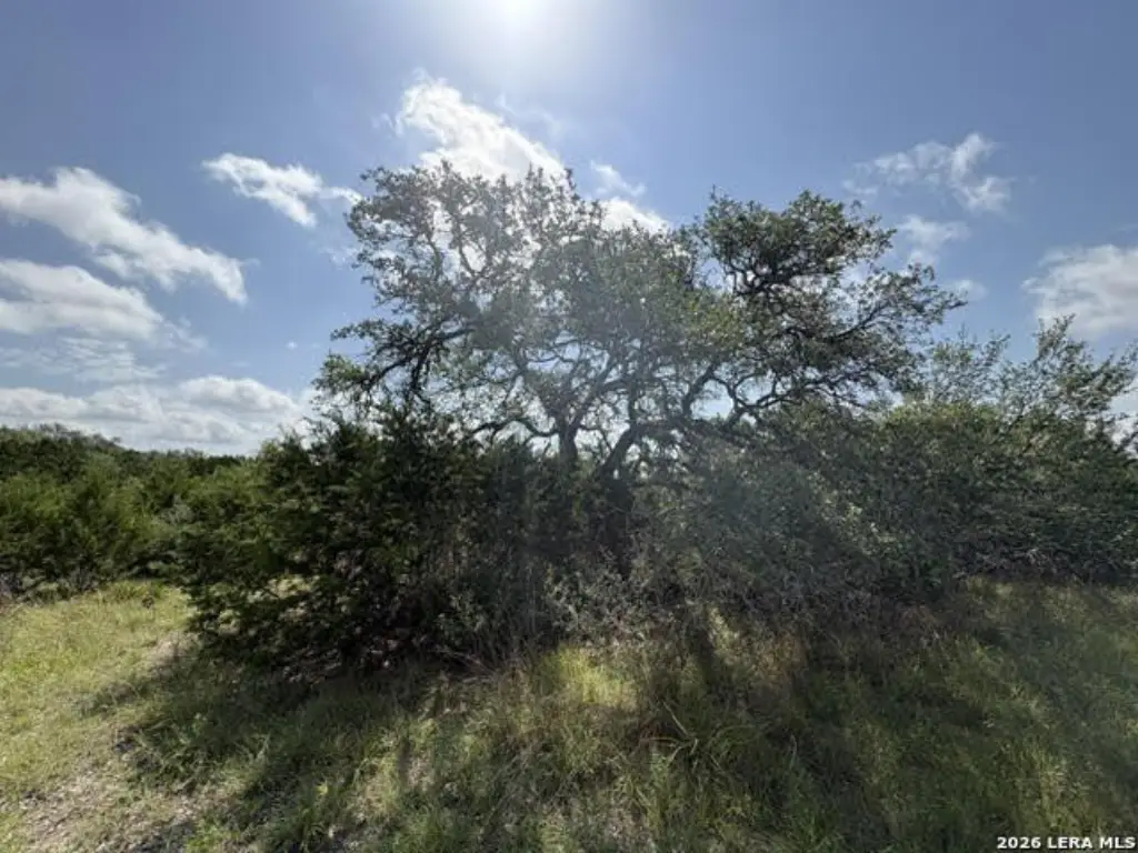 Picture 20