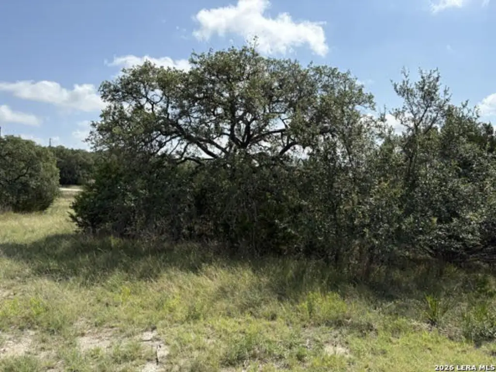 Picture 17