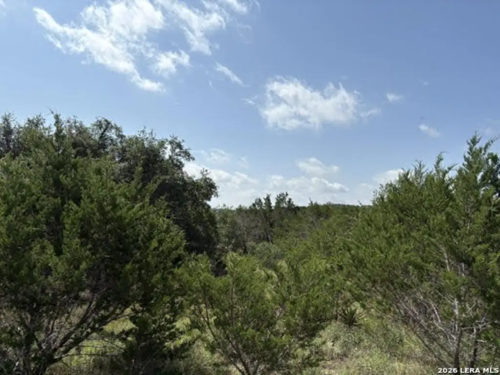 Picture 24