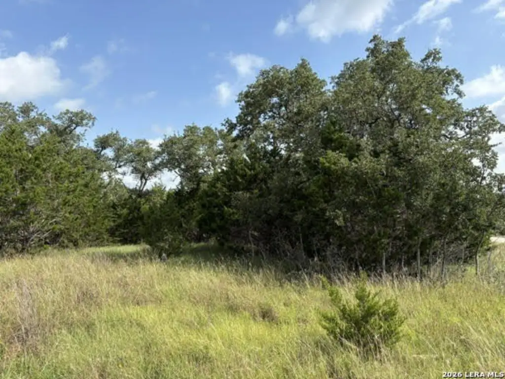 Picture 13