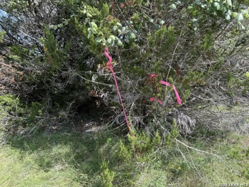 Picture 24