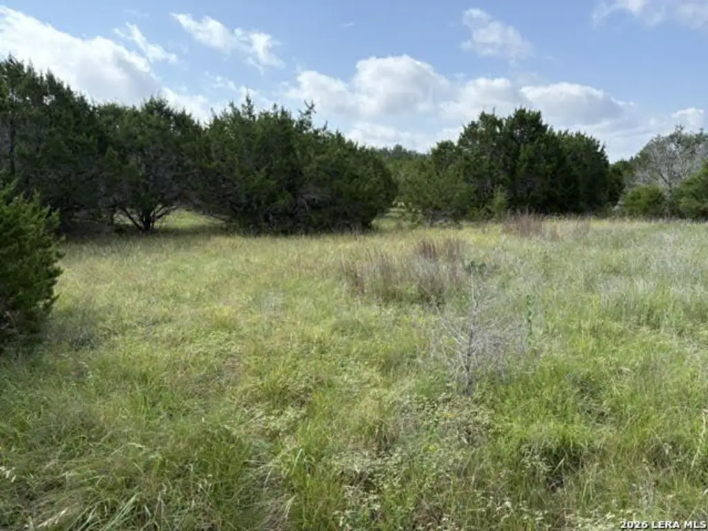 Picture 22