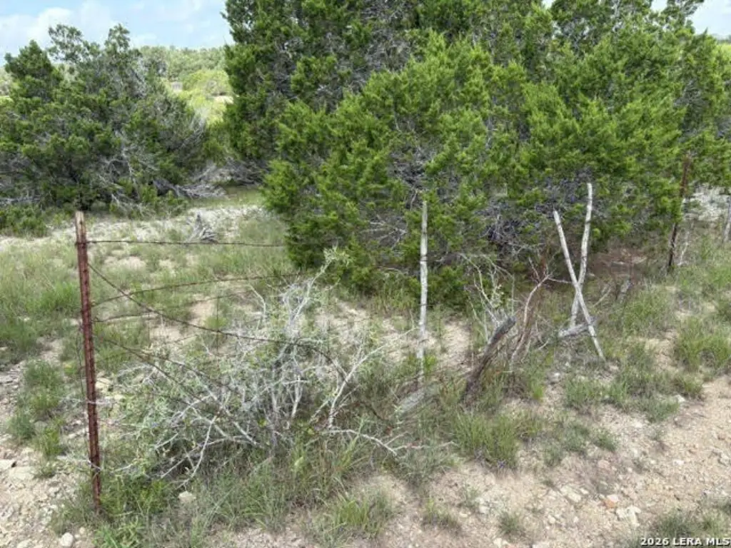 Picture 19