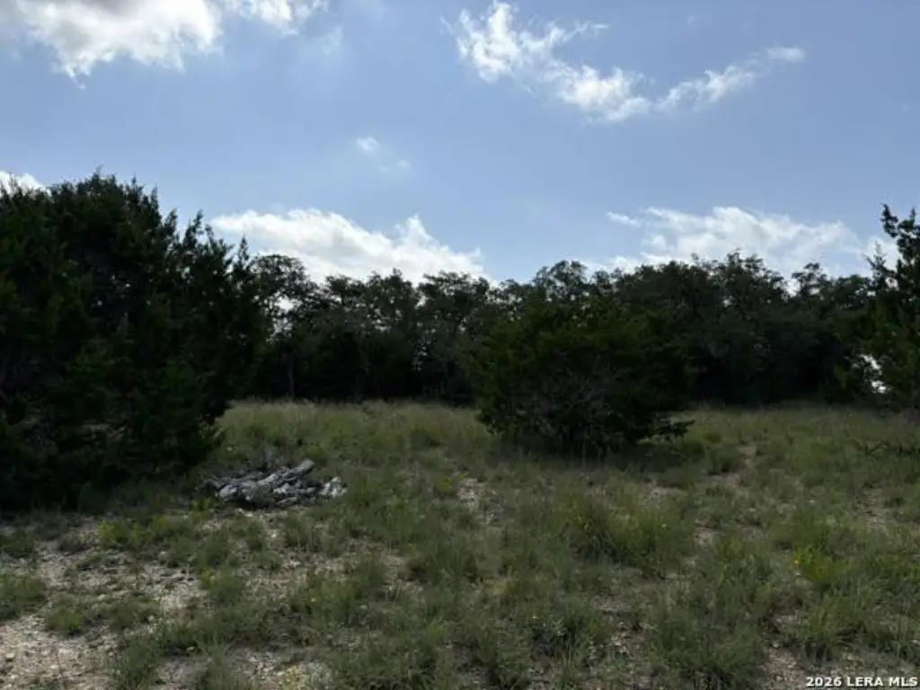 Picture 18