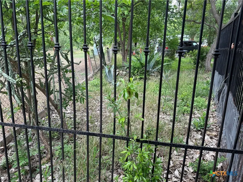 Picture 5