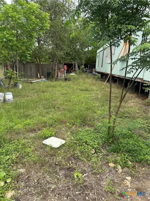 Picture 3