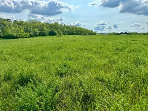 Sisseton, SD Vacant Land