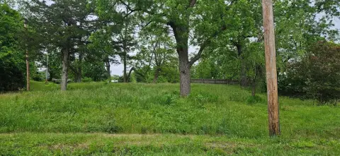 Plattsburg, MO Vacant Land