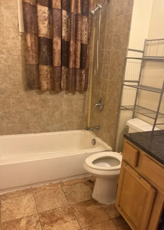 Picture 5