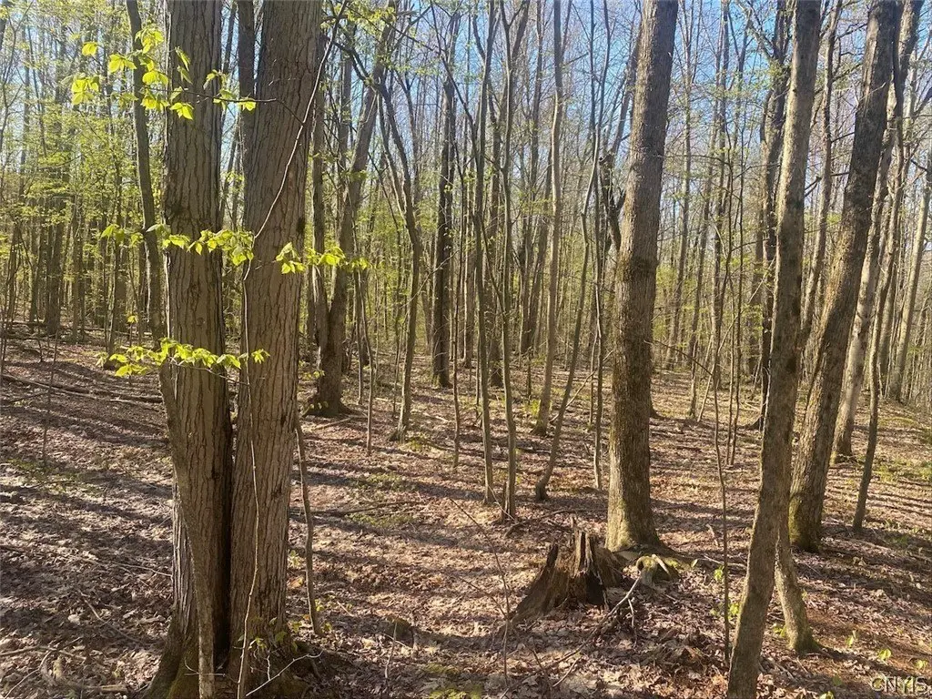Picture 22