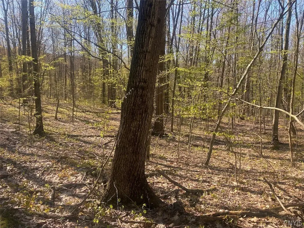 Picture 21