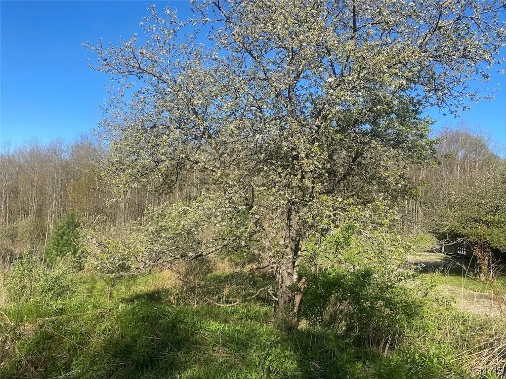 Picture 11