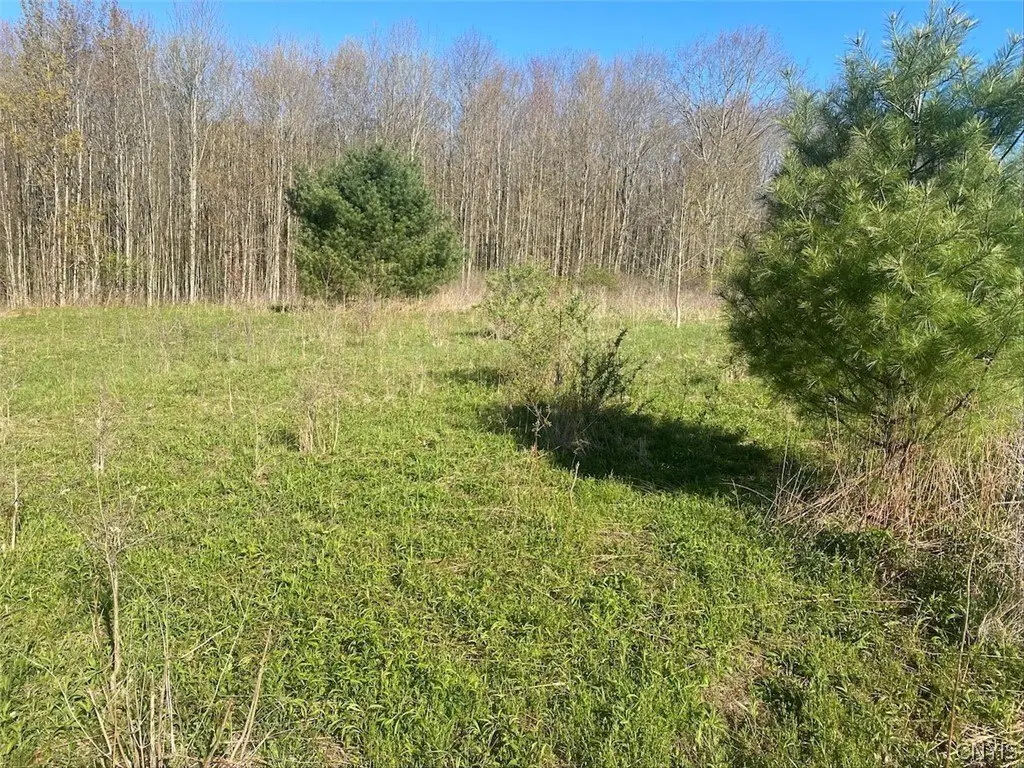 Picture 15