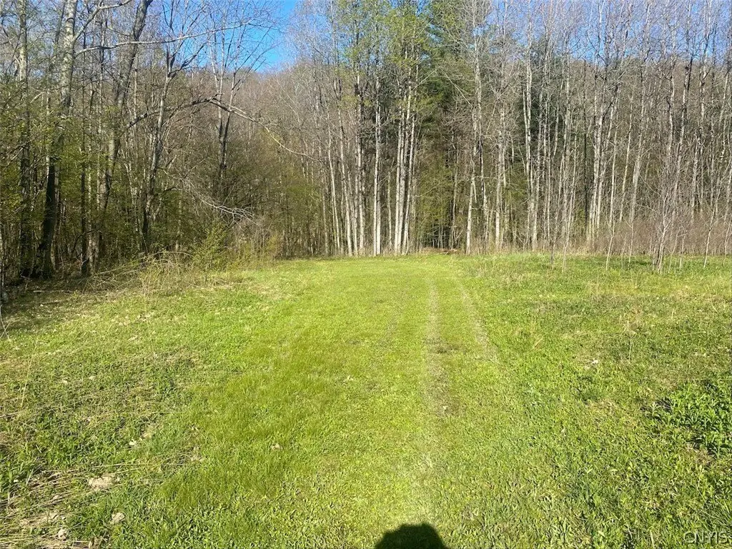 Picture 9