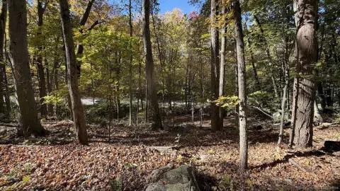 Residential Land in Trumbull, CT