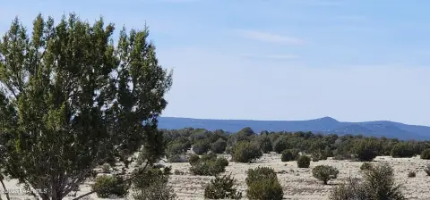Hunting Land