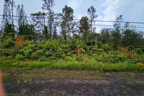 Picture of Residential land & home lots at 11-3011 ALII KANE ST, Volcano, HI