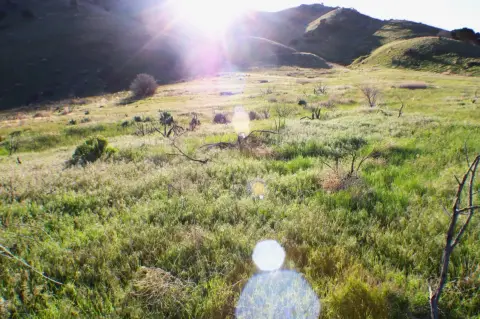 Pocatello Commercial Land Opportunity