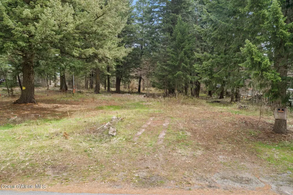 Picture 3