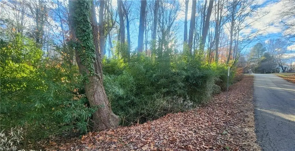 Picture 7