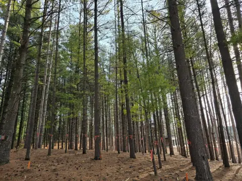 Residential Lot in Gated Community