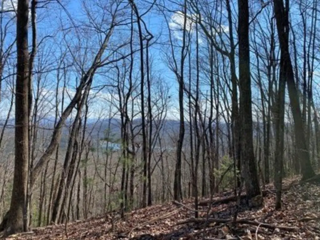 Picture 7