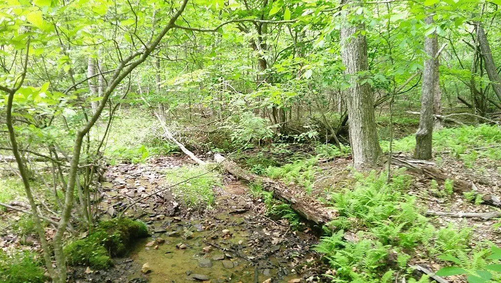 Picture 13