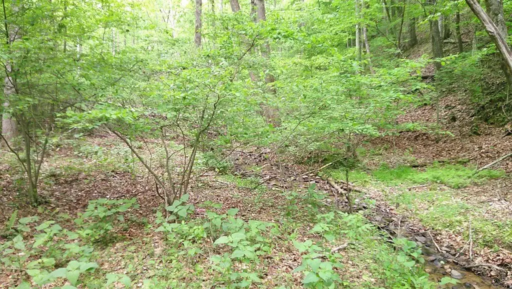 Picture 12