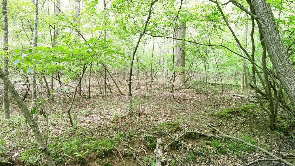 Picture 16