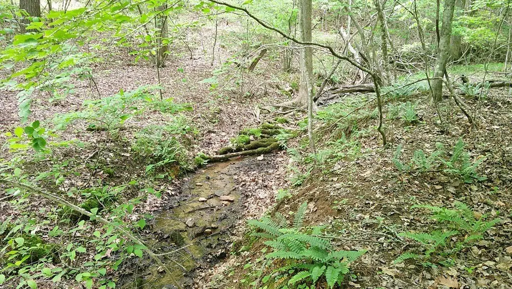 Picture 7