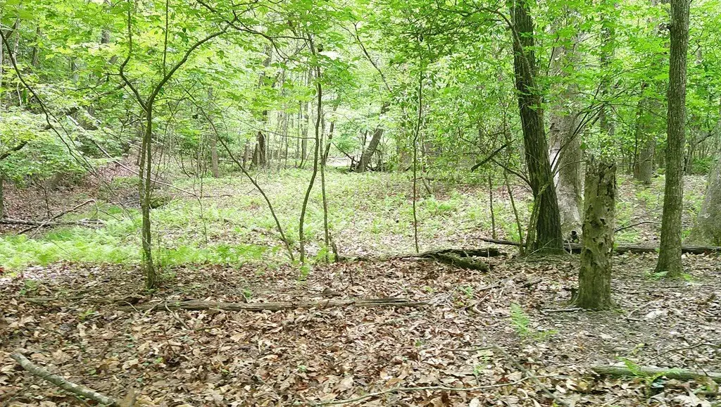 Picture 20