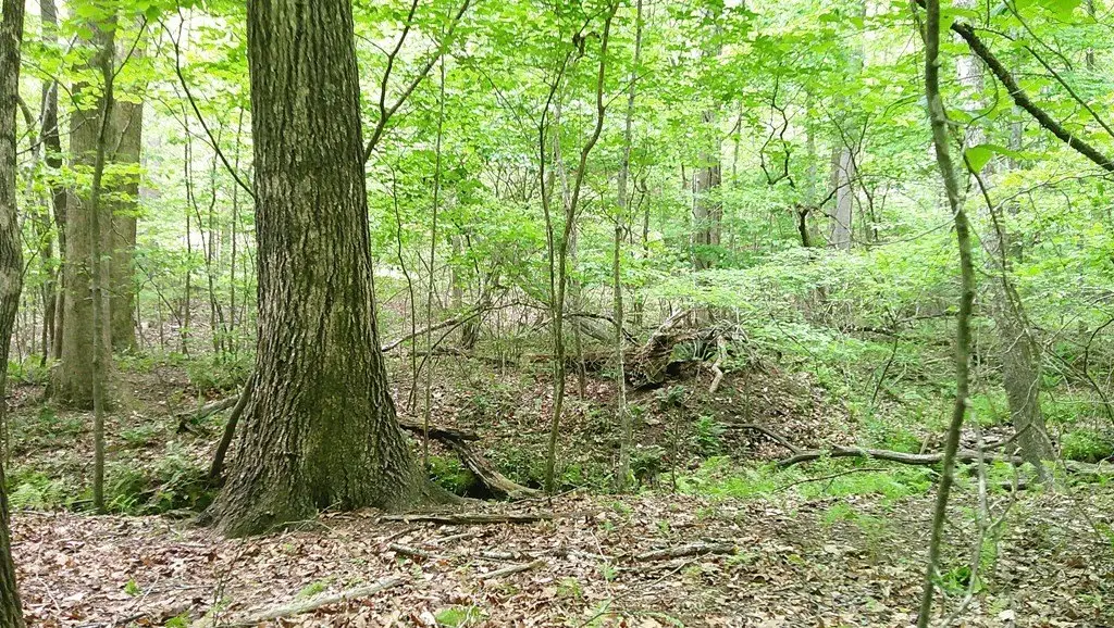 Picture 22