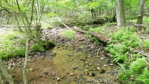 Picture of Residential land & home lots at 00 Tracks Hollow, Murphy, NC