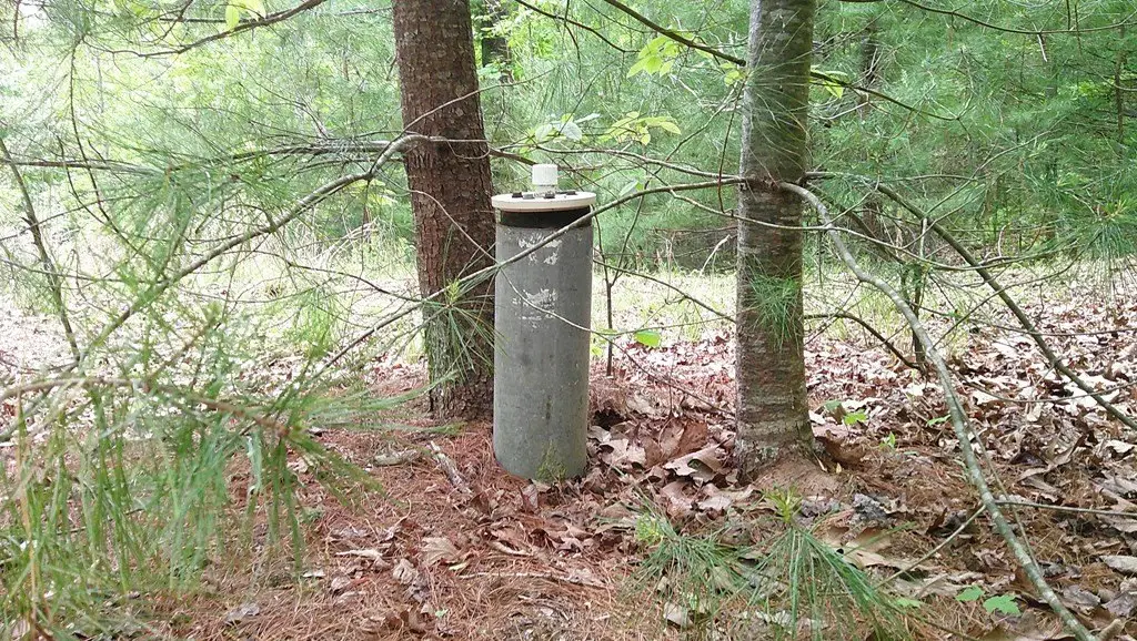 Picture 3