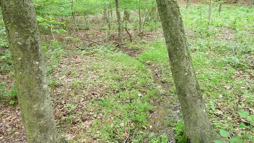 Picture 11