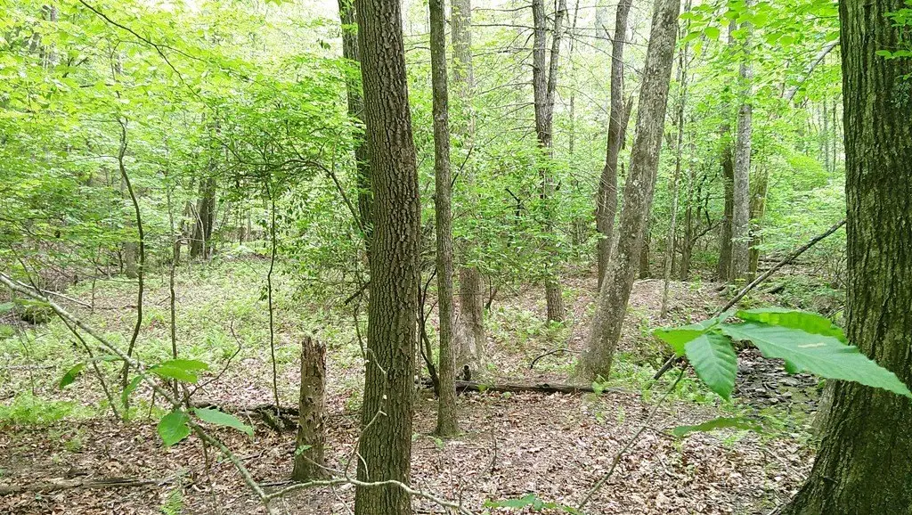Picture 19
