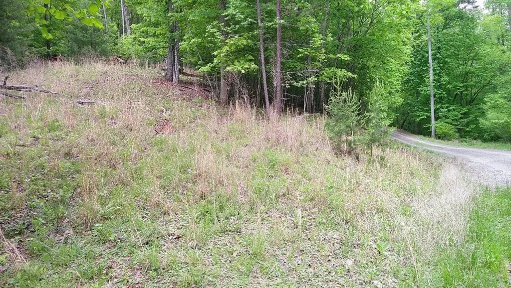 Picture 29