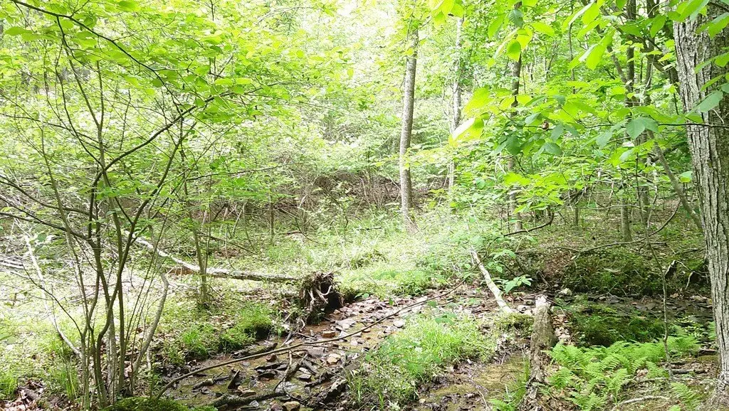 Picture 14