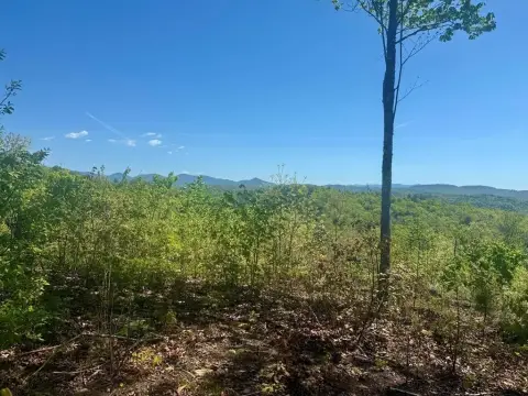 Picture of Land at 0 Wayah Ridge, Murphy, NC