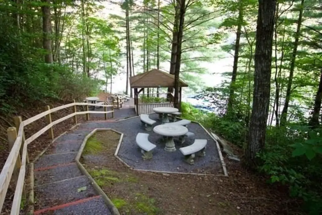 Picture 5