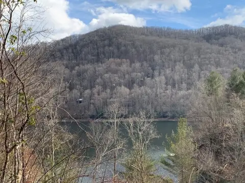 Picture of Waterfront Land at LOT # 11 Forest Vista Lane, Topton, NC
